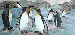 ようこそ旭山動物園へ