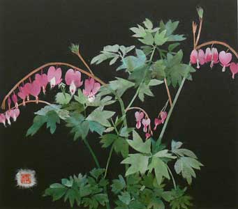 鯛釣草（ケンマン草）