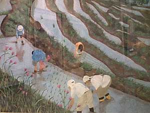伊根の千枚田