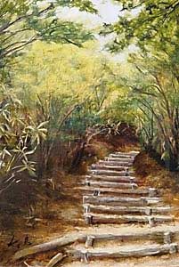 山頂への道