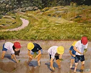 田植え体験