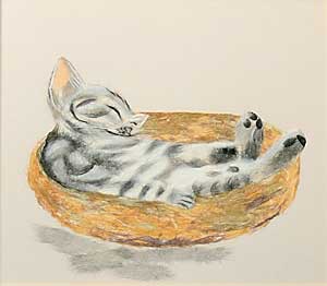 おひるね〈子猫〉（習作）