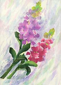 ストックの花（習作）