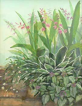 庭の草花