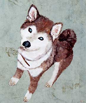 愛犬テツ