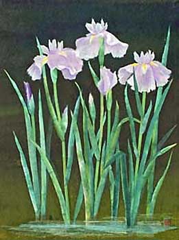 花菖蒲