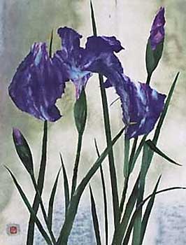 花菖蒲