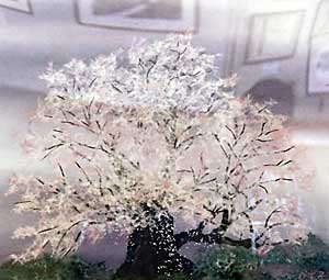 醍醐桜