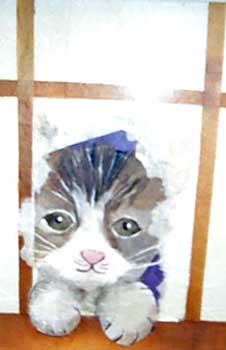 猫