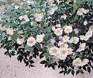 薫風１