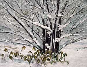 雪原の樹