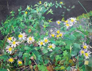 野辺の花