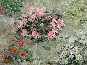 北アルプスの花