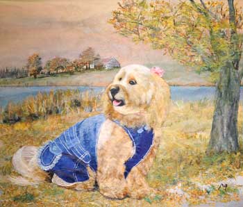 マリンちゃんのお散歩