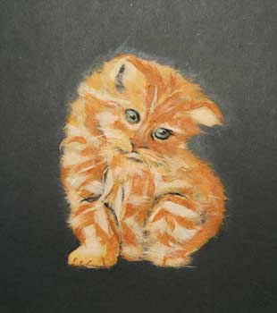 仔猫（習作）