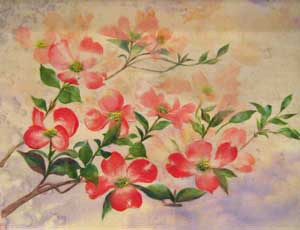 花水木