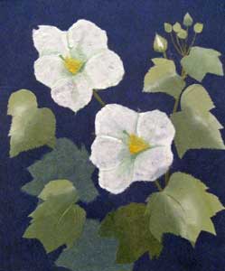 白芙蓉