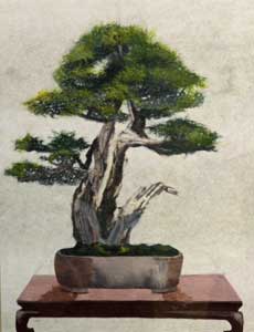 盆栽