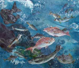 目て・・・お魚がいっぱいいるよ