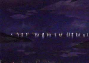海蛍