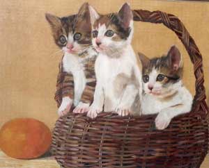 子ねこ