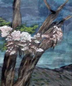 思い出の花・セッコク