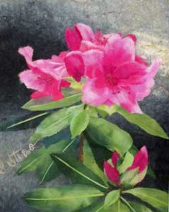 石楠花