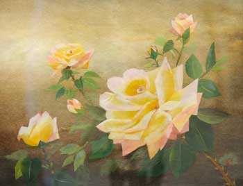 薔薇（ピース）