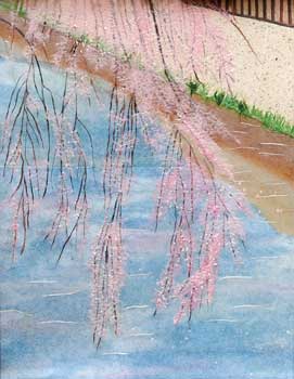 仙川の桜