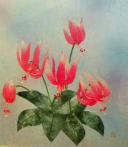 かたくりの花