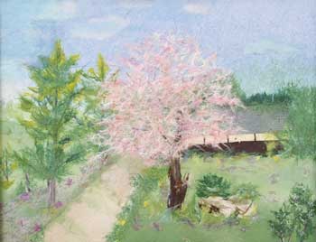 桜の道