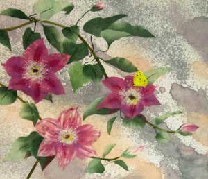 鉄線花