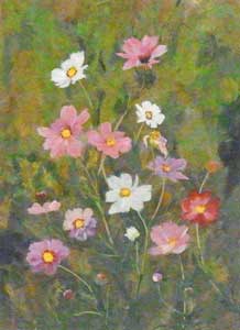 秋桜