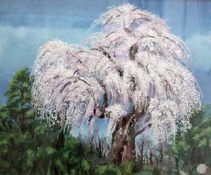 しだれ桜