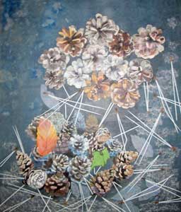 雨の日 晴れの日