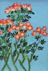 夏の訪れ（薔薇）