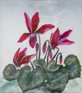 シクラメンの花