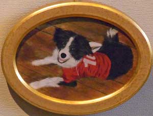 我が家のデューク君