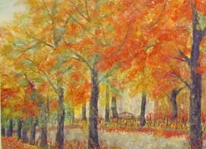 楓の道（ふうのみち）