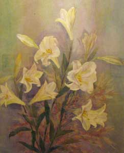 百合