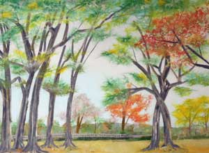 公園