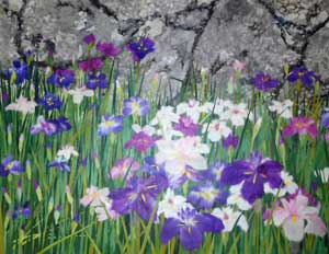 城址の花菖蒲