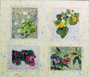 木曽駒ヶ岳のかれんな花