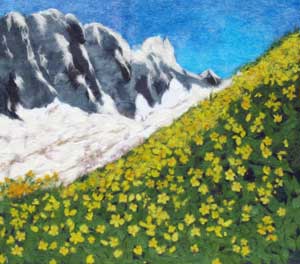 大雪渓と花の山（白馬岳）