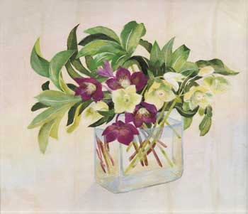 クリスマスローズ