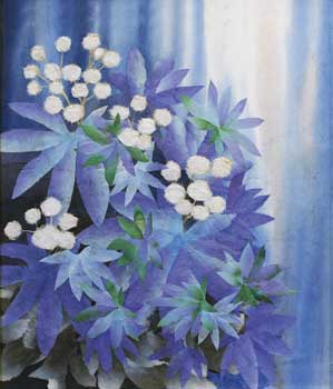 輝きの時（ヤツデ）