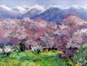 南アルプスの春模様