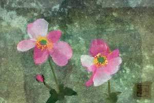 秋色の花