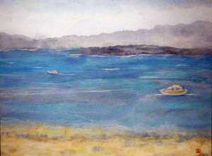 珊瑚の海