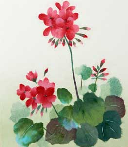 ゼラニウム（習作）